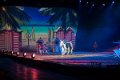 Apassionata_2014    188